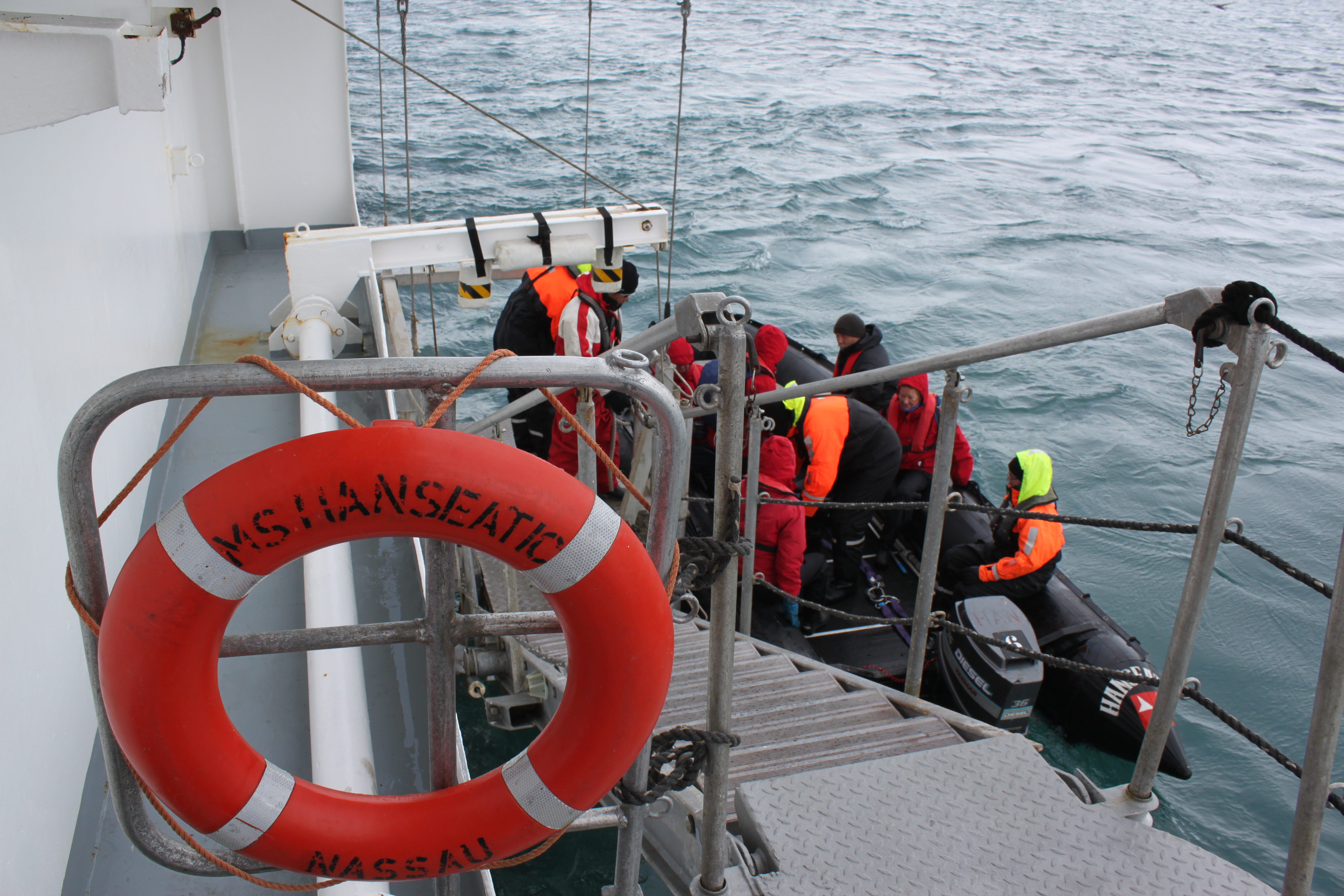 Zodiac-Ankunft am Schiff