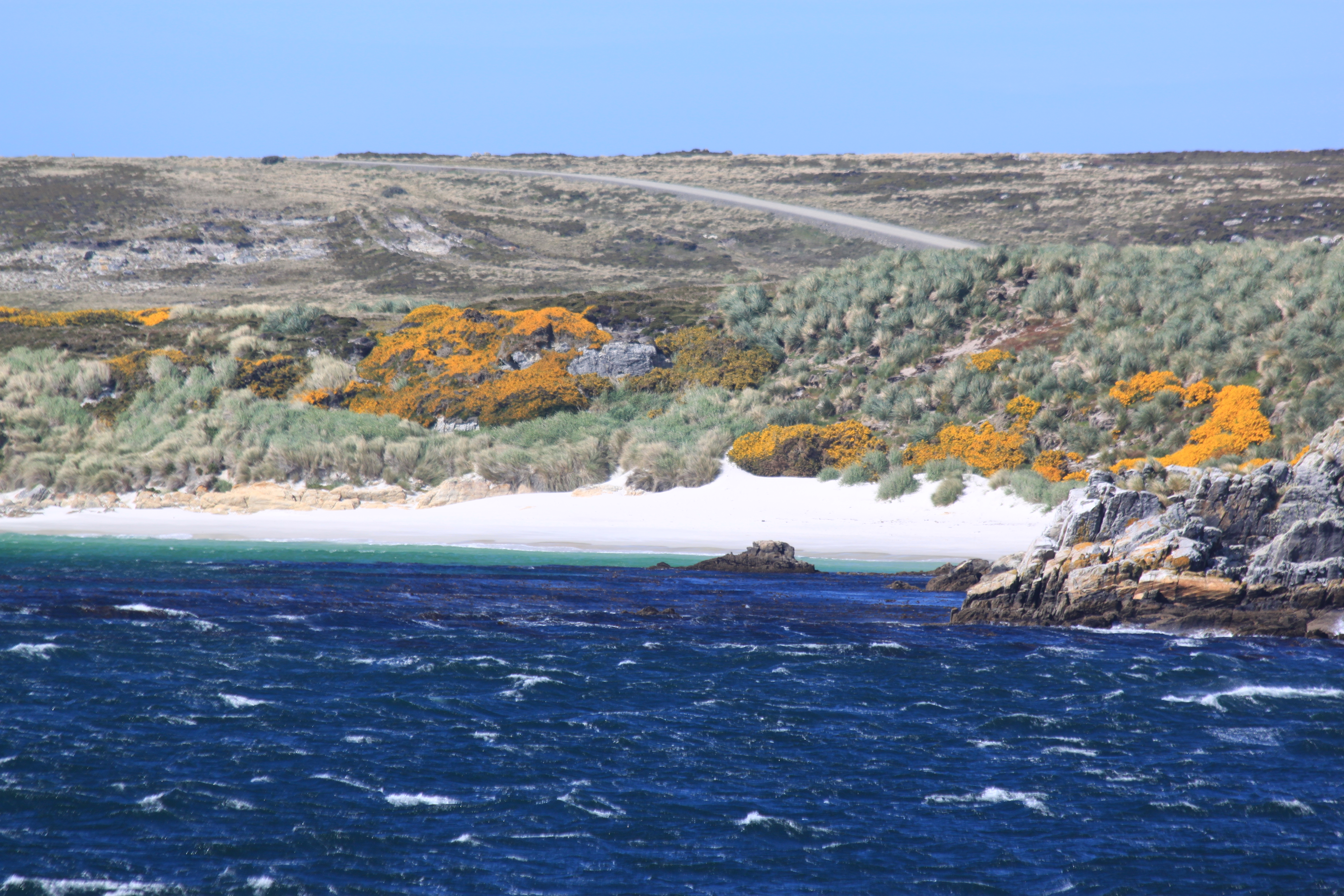 Blick auf Falklands Küste